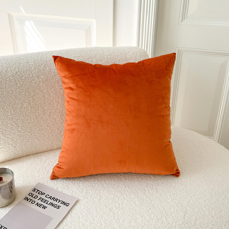 2design velvet cushion