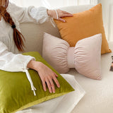 2design velvet cushion