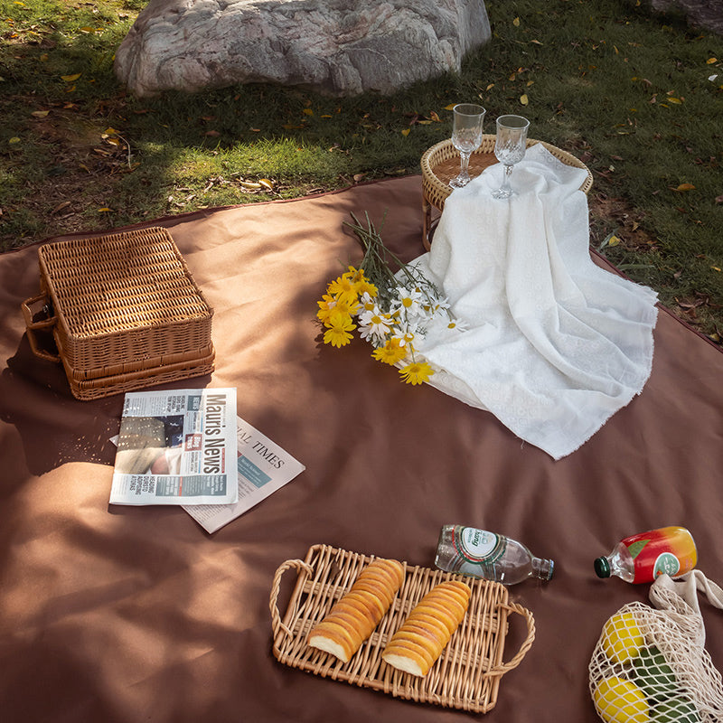 2color waterproof simple picnic sheet