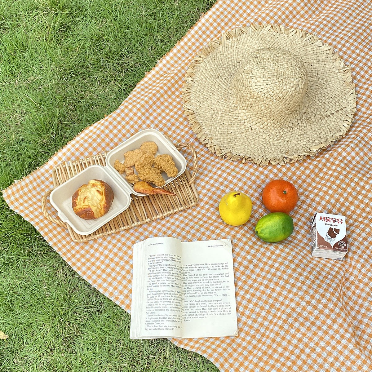 natural gingham check picnic cloth