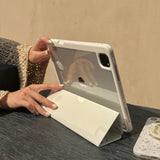 hazelnuts iPad case