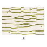 7design square carpet