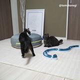 round 4season bed