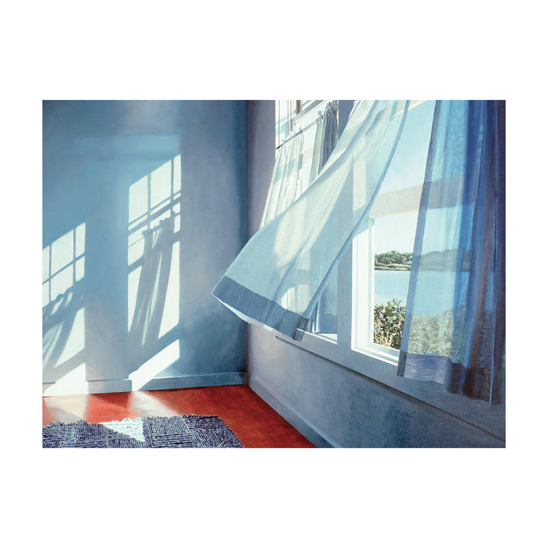 wind blow curtain tapestry